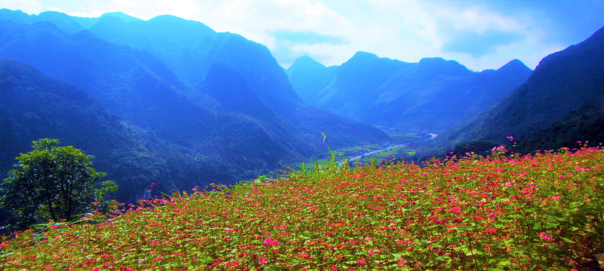 Photos from our Vietnam N.E Cycling Holiday